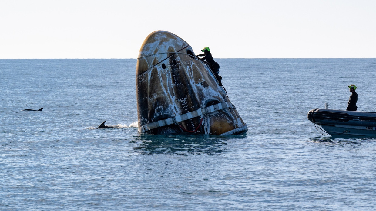 Umringt von Delfinen: Die gestrandeten Astronauten landeten in Tallahassee, Florida.