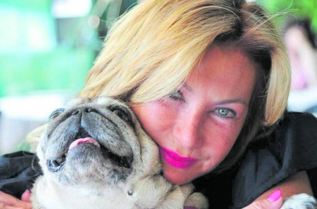 Bauking : Voyagez avec vos animaux de compagnie sans souci