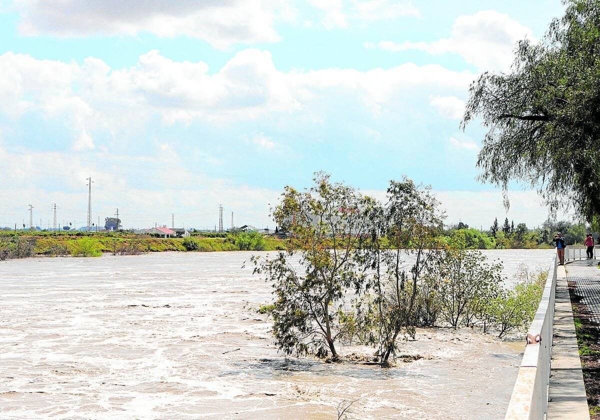 Tramo del río Guadalquivir cercano a Alcalá del Río