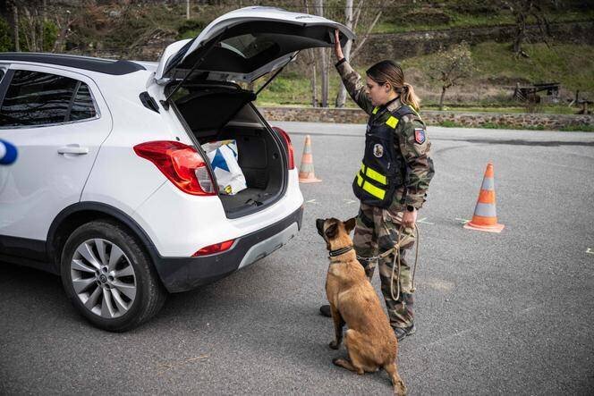 Une gendarme française de l’équipe cynophile contrôle une voiture à la frontière franco-espagnole à Fos (Haute-Garonne), le 19 mars 2025.