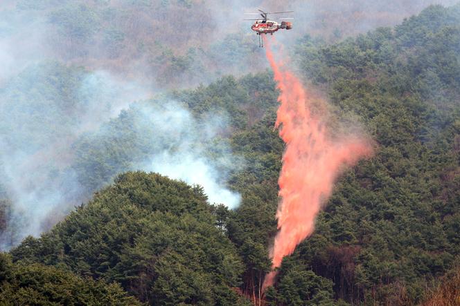 Un hélicoptère déverse du produit ignifuge sur un feu de forêt à Sancheong, en Corée du Sud, le 25 mars 2025.