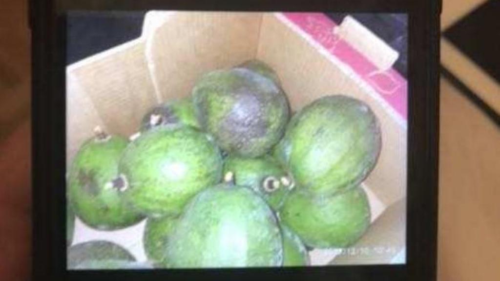 Images des envois de fruits.