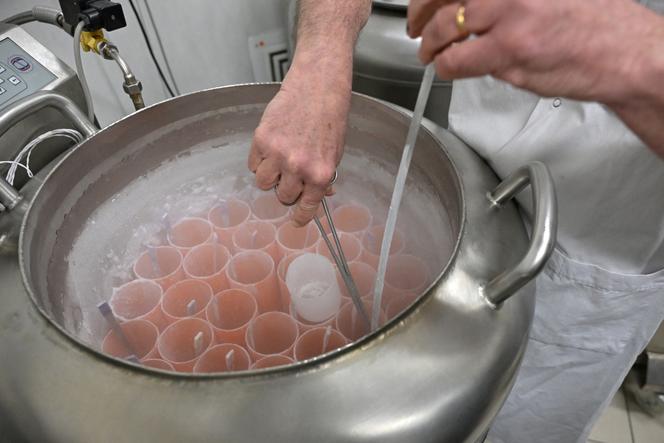 Des flacons contenant du sperme congelé dans de l’azote liquide, au Centre d’étude et de conservation des œufs et du sperme humains de Rennes, le 12 mars 2024.