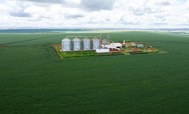 Plantation de soja à Montividiu (Etat de Goias, Brésil), le 22 janvier 2024.