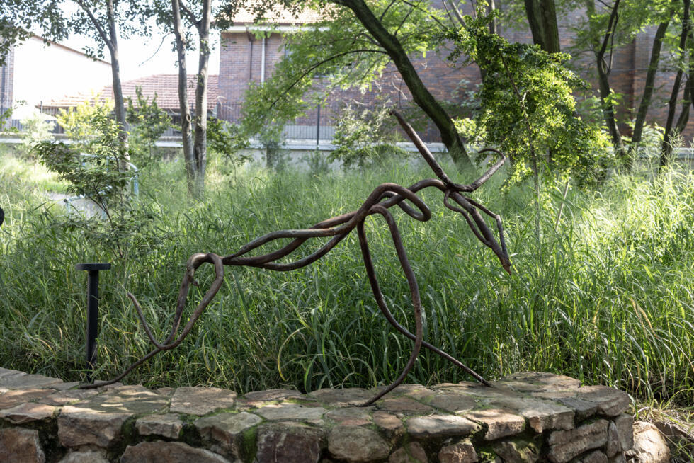 Sculpture de hyène en matériaux recyclés devant l'atelier de Hannelie Coetzee, le 26 mars 2025 à Johannesburg
