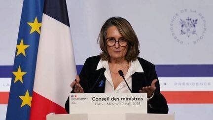 La porte-parole du gouvernement, Sophie Primas, lors du compte-rendu du Conseil des ministres, le 2 avril 2025. (DIMITAR DILKOFF / AFP)