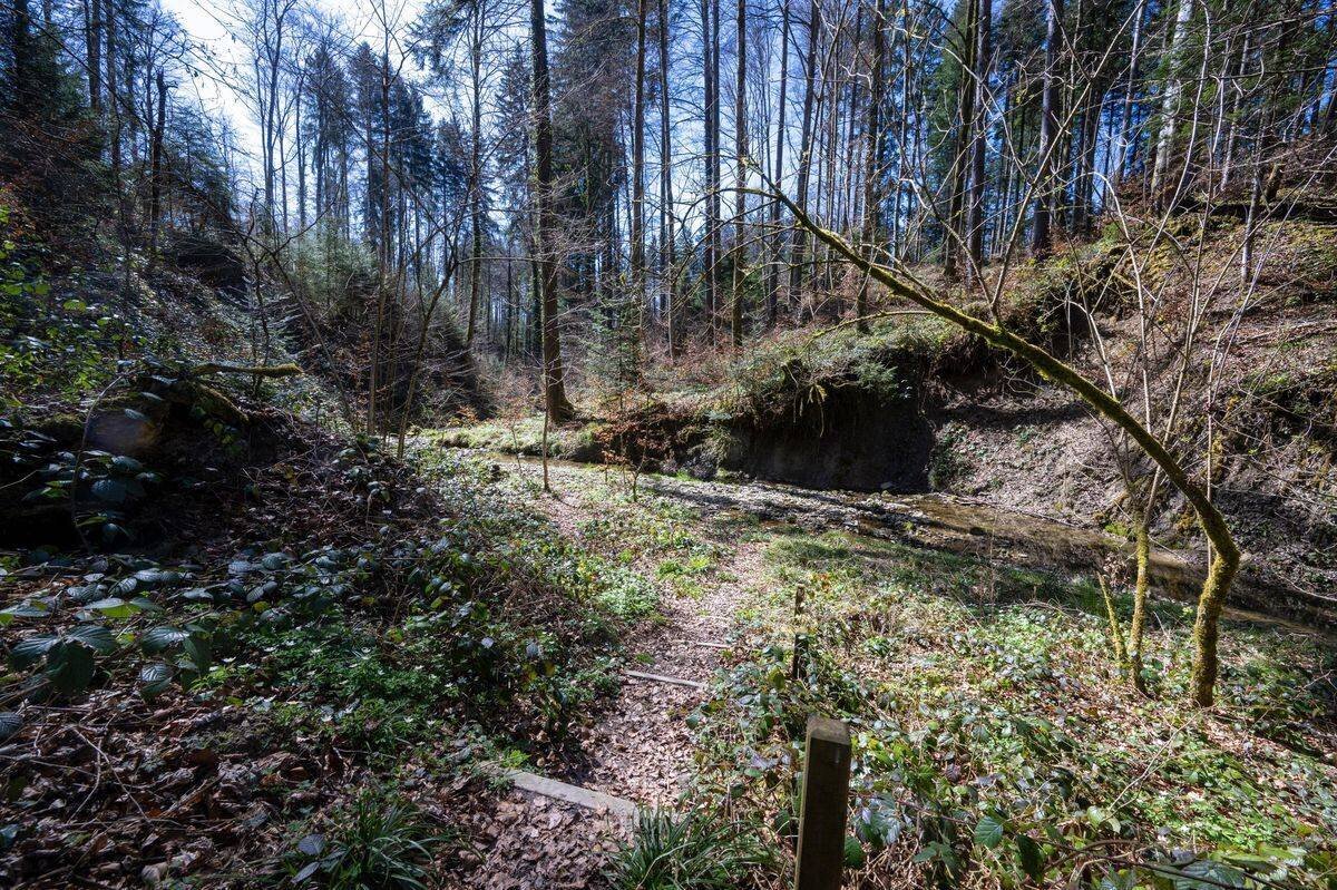 Le lieu de l'accident à Thierrens, 31 mars 2025.