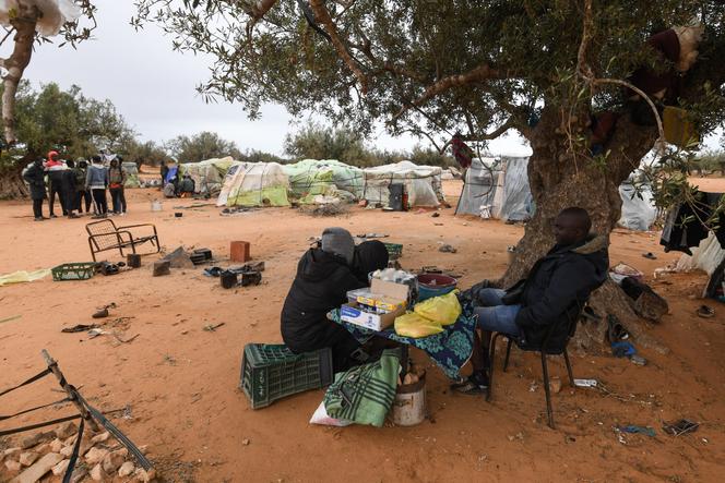 Des migrants subsahariens assis sous un olivier dans le camp de Jebeniana (Tunisie), le 24 avril 2024.