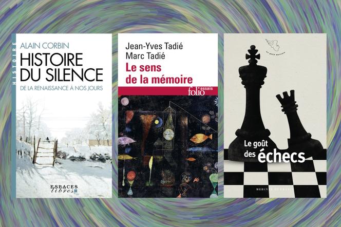 Histoire du silence