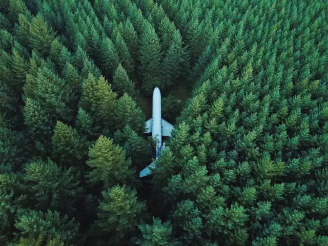 Boeing 727 dans les bois