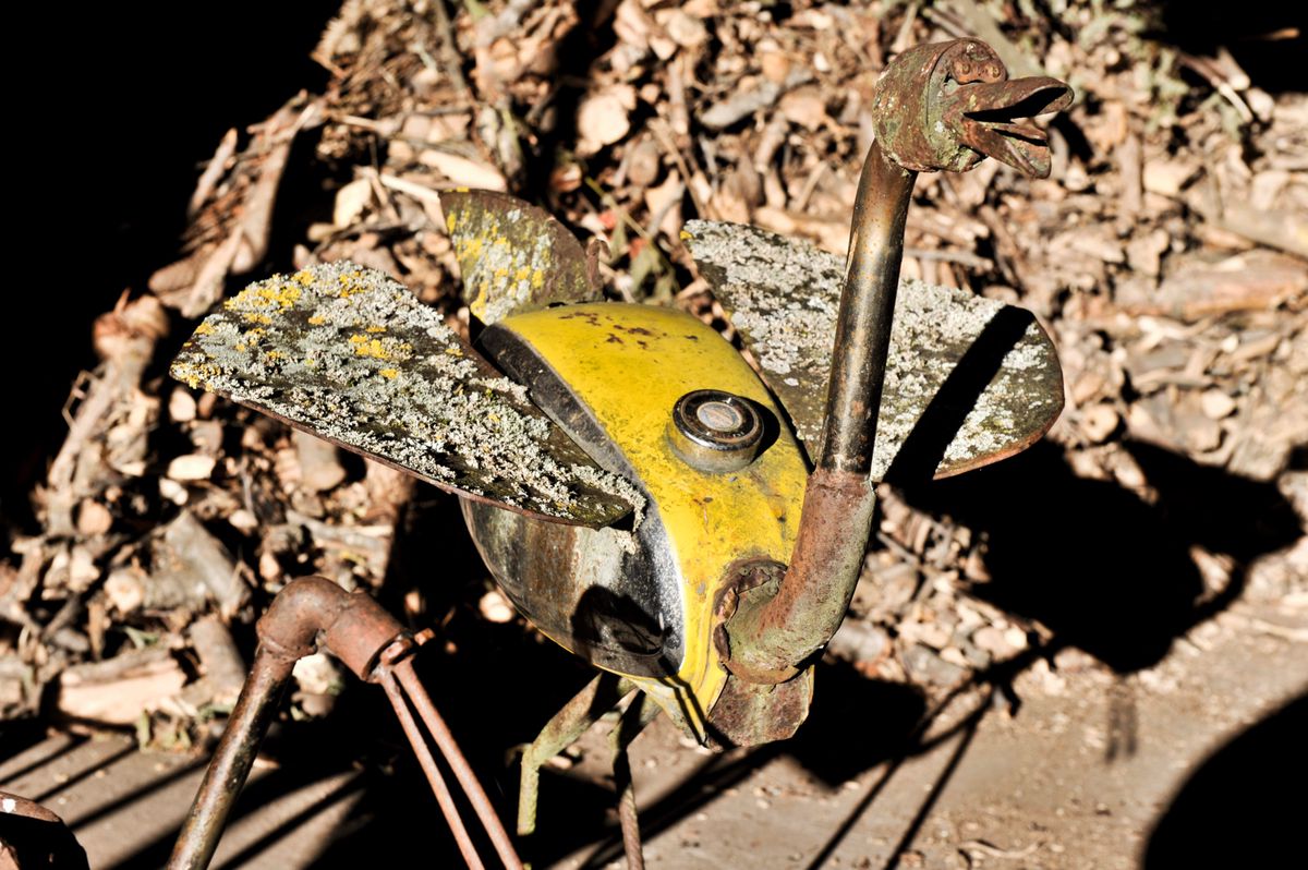 Sculpture en métal rouillé d'un oiseau dans la nature