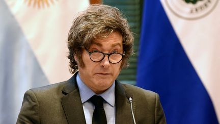 Le président argentin Javier Milei, à Asuncion (Paraguay), le 9 avril 2025. (DANIEL DUARTE / AFP)