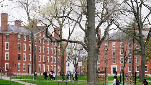 Witte Huis ontzegt Harvard 2,2 miljard aan subsidie na weigering eisen antisemitisme-aanpak