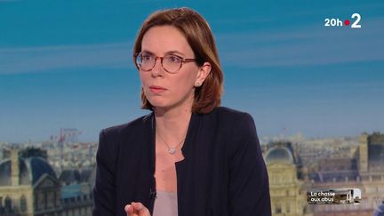 Amélie de Montchalin invitée au journal de 20 heures de France 2