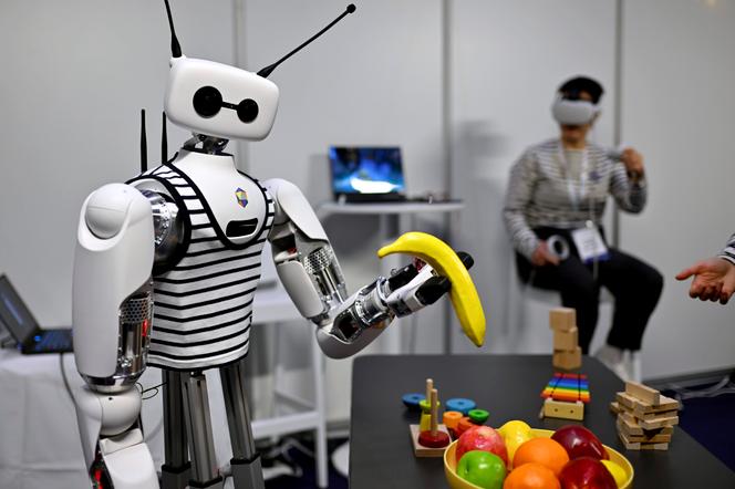 Le robot humanoïde Reachy 2, de l’entreprise française bordelaise Pollen Robotics, au Centre Prouvé, à Nancy (Meurthe-et-Moselle), le 23 novembre 2024.