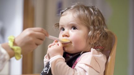 Les pots pour bébé Nestlé sont rappelés à cause d'une quantité anormale de toxines (image d'illustration). (ANNE-SOPHIE BOST / MAXPPP)