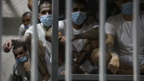 Membres présumés de gangs dans une cellule du centre de détention anti-terroriste à El Salvador