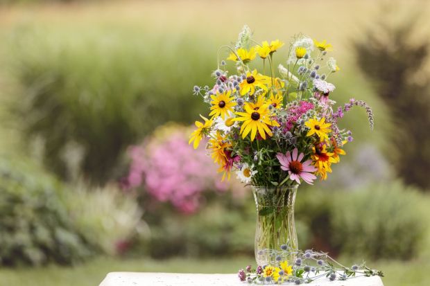 Bouquet de fleurs sauvages dans un vase