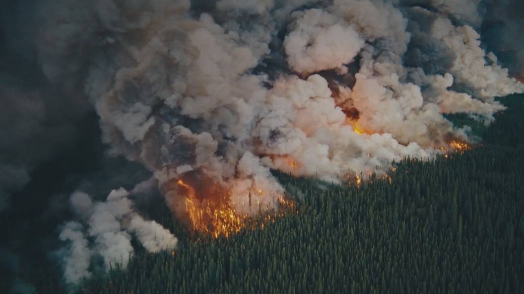 Documentaire sur la pire saison des feux de forêt en Colombie-Britannique