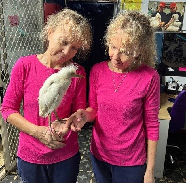 Les jumelles australiennes parlent en parfaite synchronisation lors de leur interview