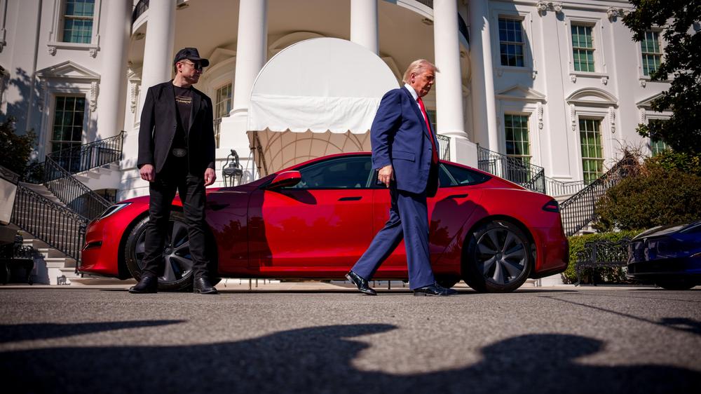 Le milliardaire technologique Elon Musk (à gauche) conseille le président américain Donald Trump depuis le début de son second mandat.
