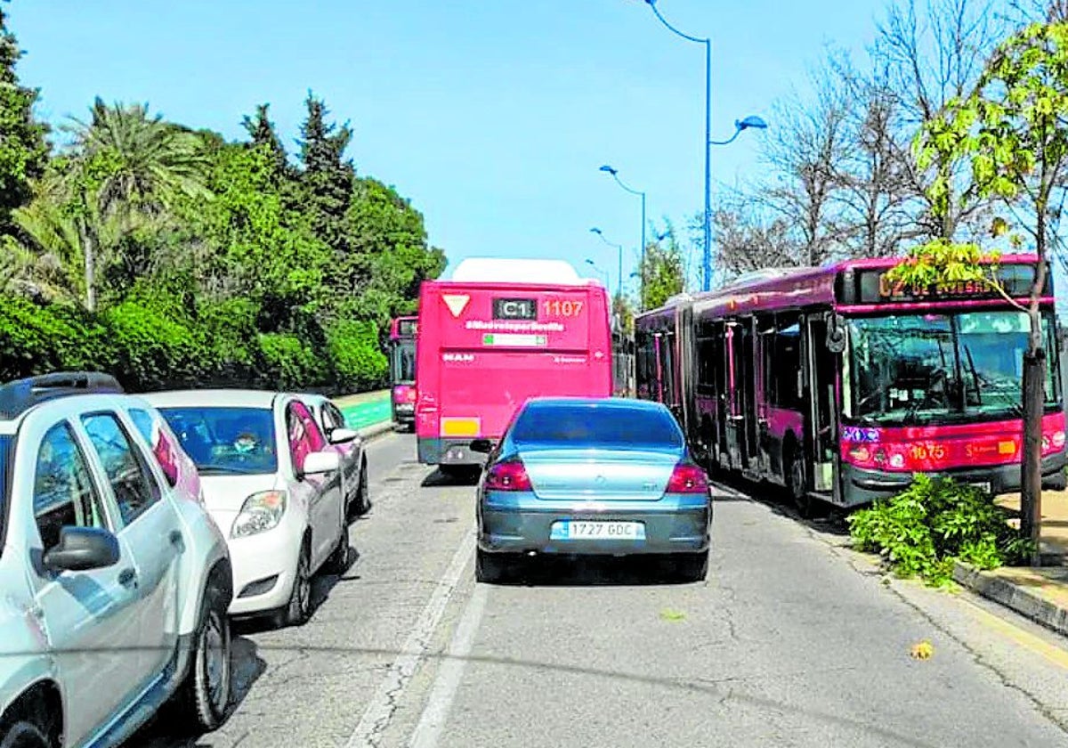 Autobus des lignes C1 et C2 de Tussam sur l’avenue América Vespucio à Cartuja