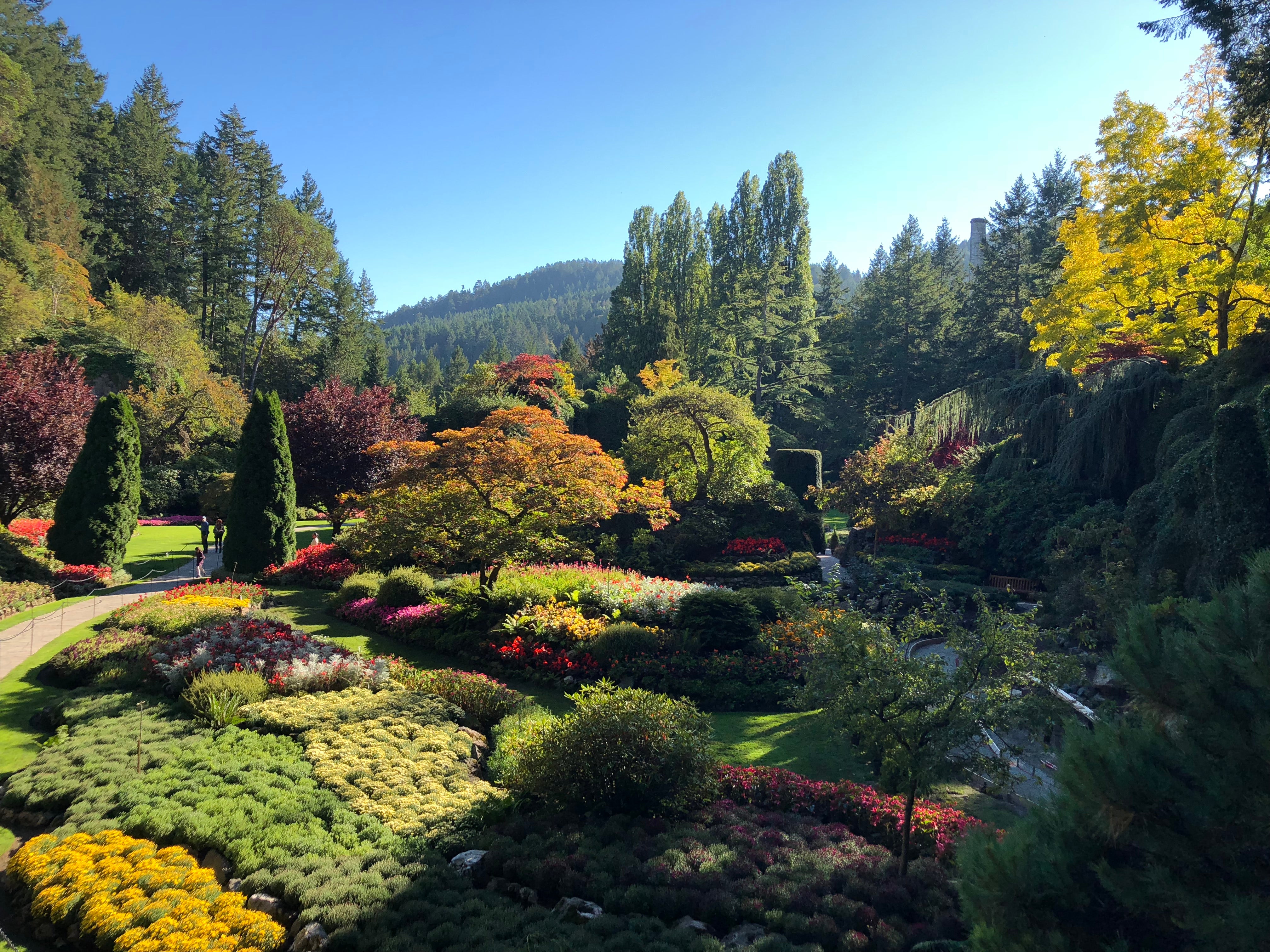 Les Butchart Gardens à Victoria, une magnificence horticole de 22 hectares