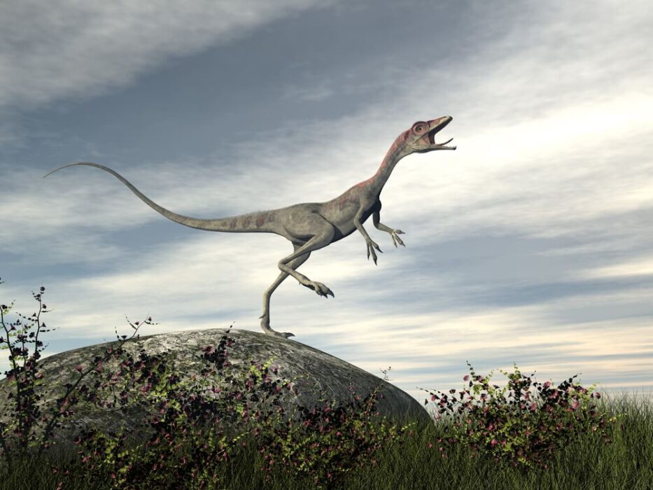 Compsognathus; le dinosaure qui court le plus vite