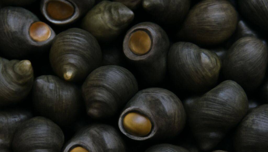 La pêche - Au fil de l'eau en Charente-Maritime