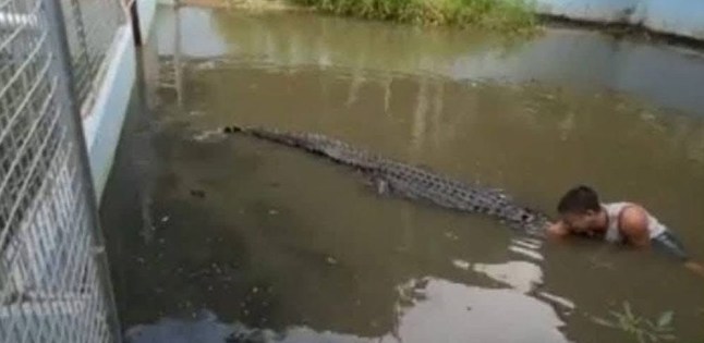 Touriste attaqué par un crocodile au zoo