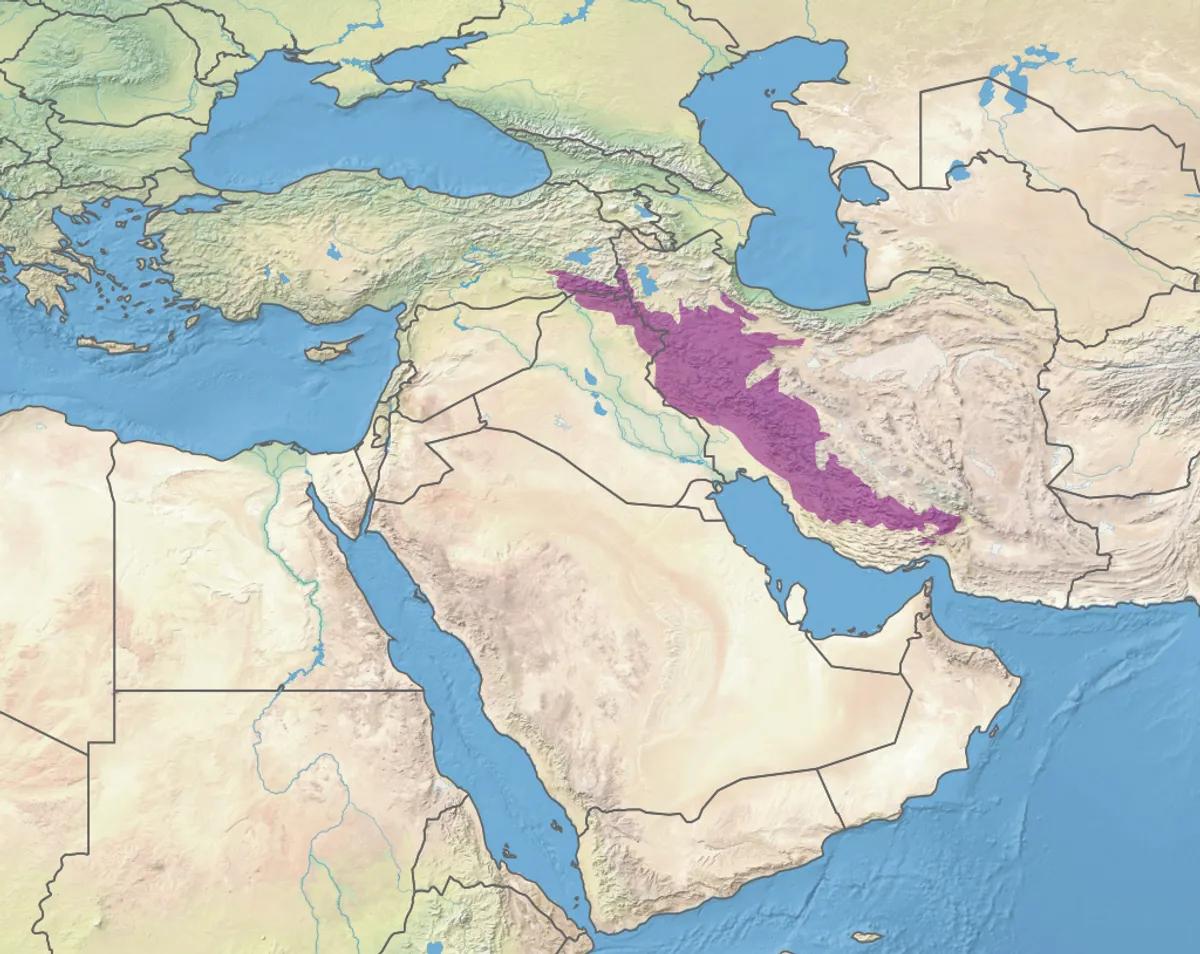 Territoire perse des Homo sapiens