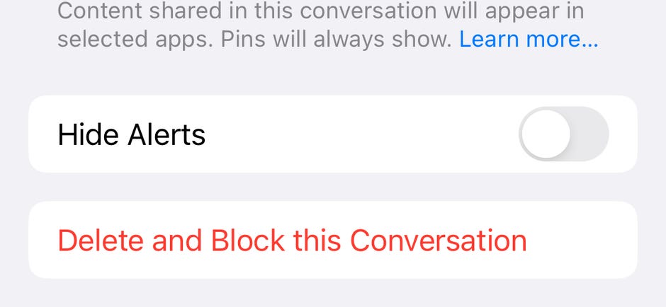Option Supprimer et bloquer cette conversation sur iPhone