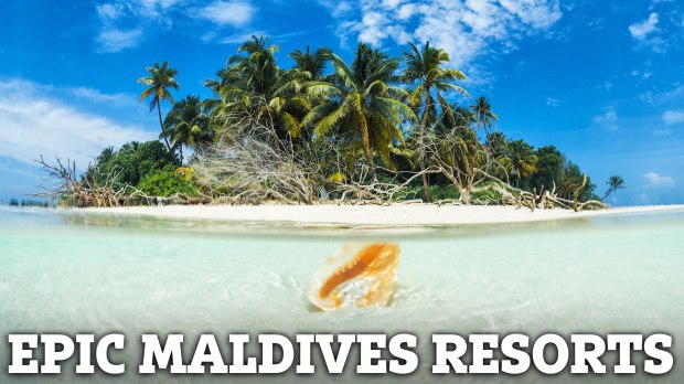 Paysage tropical semblable aux Maldives