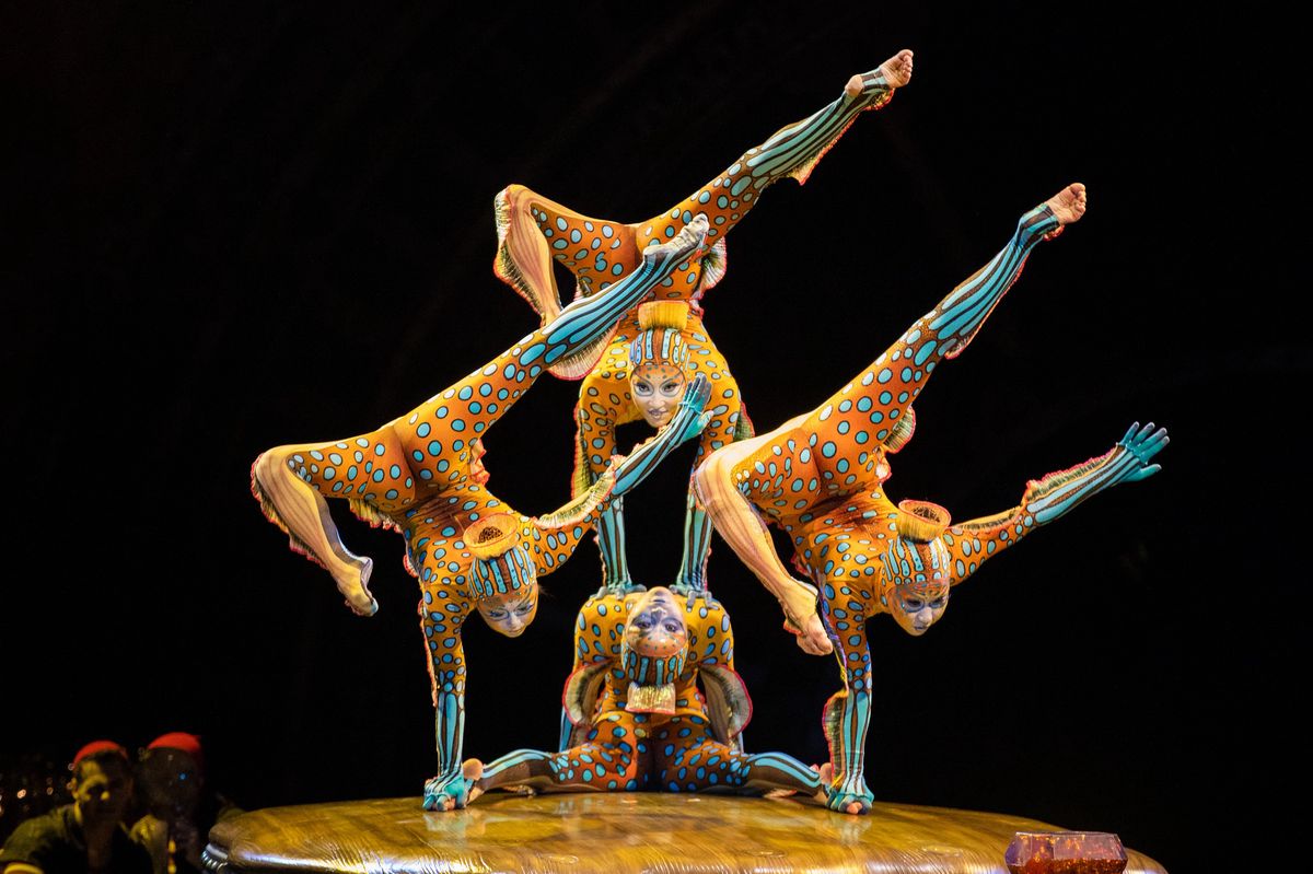 Quatre acrobates en costumes colorés réalisant une figure complexe sur scène, illustrant une performance artistique dynamique.