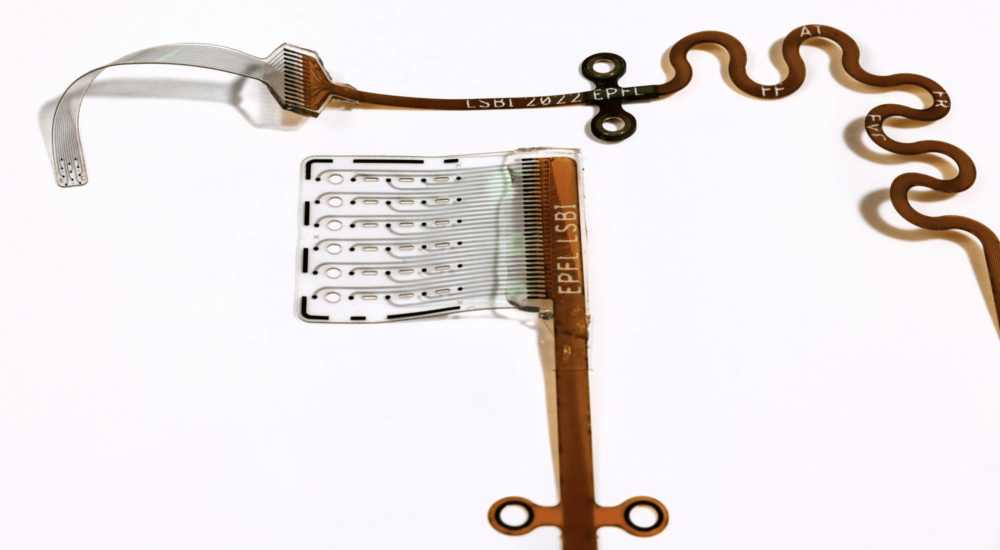 Des chercheurs ont développé un implant auditif du tronc cérébral souple
