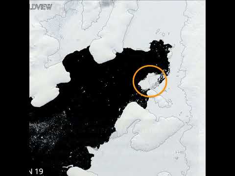 Découverte scientifique en Antarctique