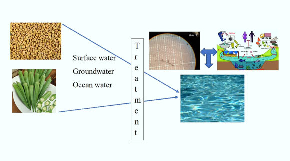 Microplastiques et efficacité des polysaccharides végétaux dans leur élimination