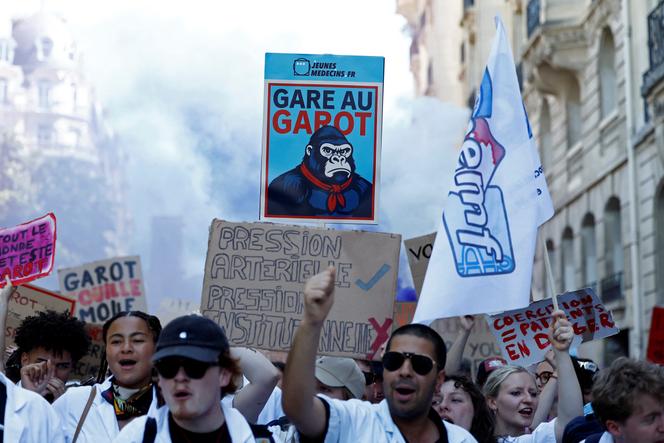 Manifestation de médecins et d’internes contre la loi sur les déserts médicaux à Paris, le 29 avril 2025