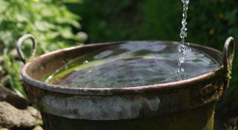 Étude sur la transmission bactérienne via l'eau potable