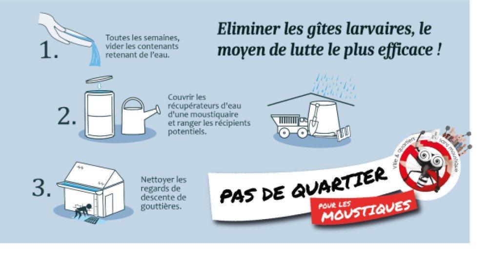 L'ARS annonce le lancement de la saison de surveillance et de lutte contre le moustique tigre