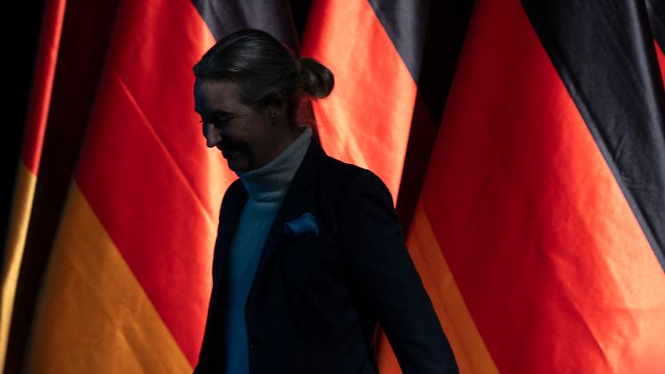 Alice Weidel, membre de l'AfD, avec des déclarations documentées par le Verfassungsschutz