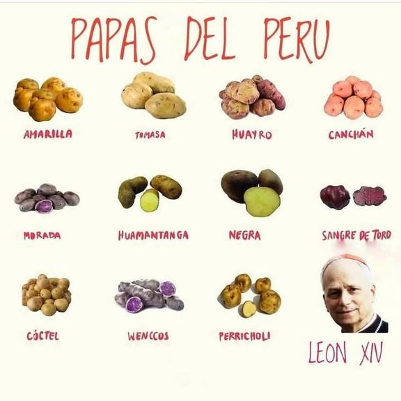 Mème péruvien célébrant le pape Leo XIV