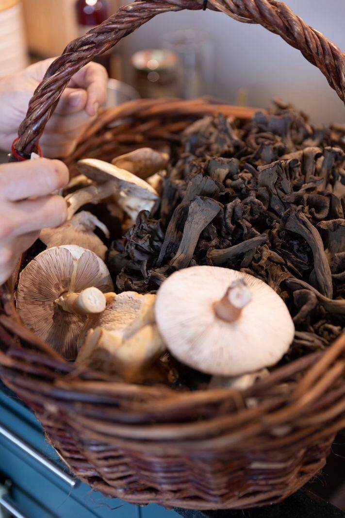 St-Légier , le 30 septembre 2024 , Patrick Wuillemin, contrôleur des champignons à Châtel-St-Denis. Prépare et nettoie sa cuillette du jour. (C/Odile Meylan)