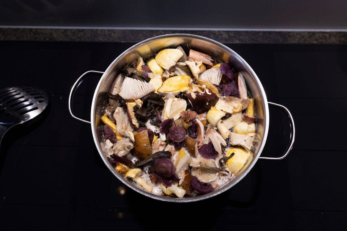 St-Légier , le 30 septembre 2024 , Patrick Wuillemin, contrôleur des champignons à Châtel-St-Denis. Prépare et nettoie sa cuillette du jour. (C/Odile Meylan)