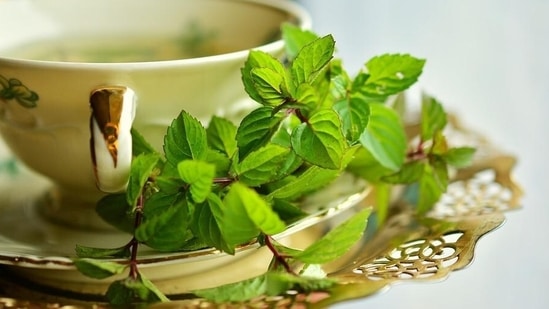 La menthe a un effet rafraîchissant sur le corps et est également bénéfique pour la peau.