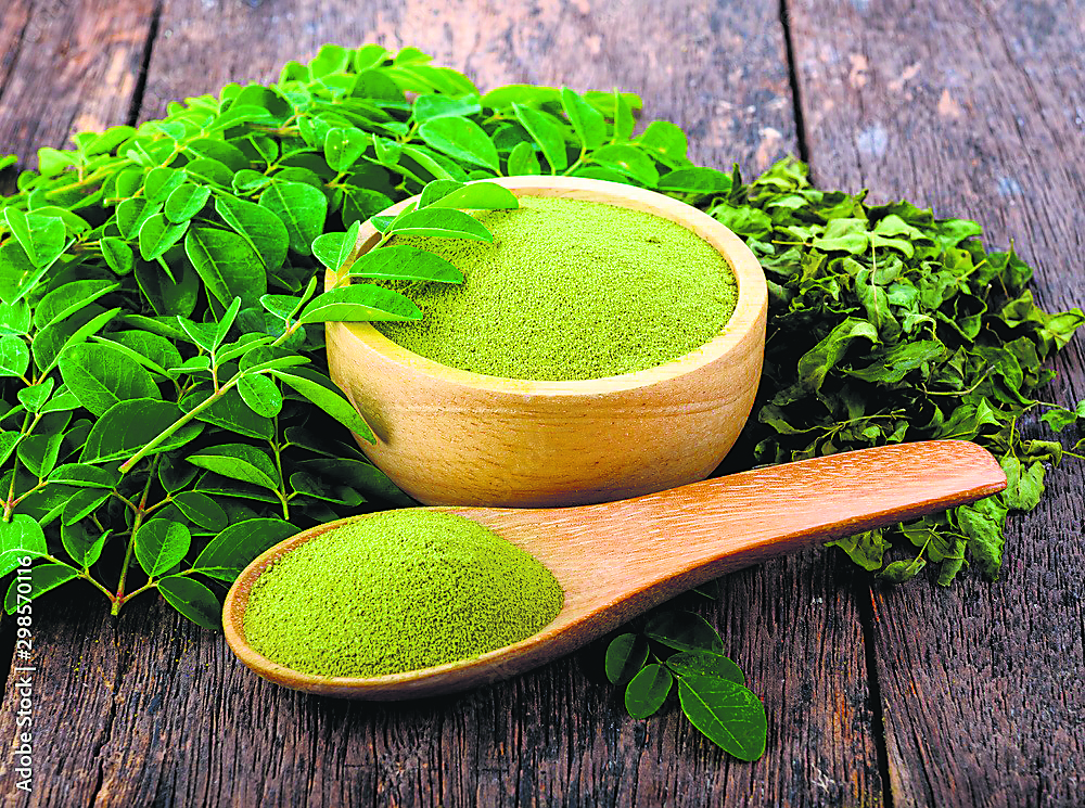 Le moringa est riche en acides aminés et minéraux essentiels, ce qui en fait une plante bénéfique pour la peau.
