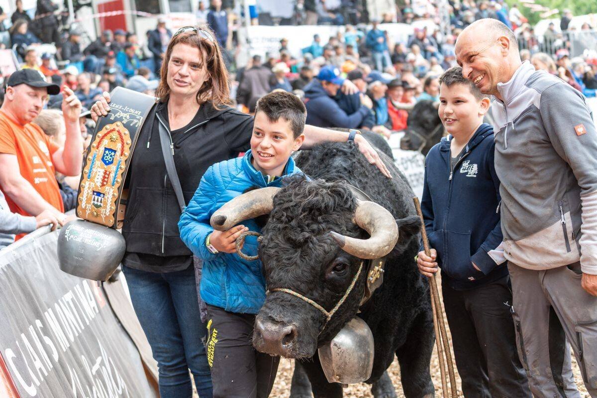 Finale Nationale de la Race d’Hérens 2022 à Sion, Shita, la gagnante avec le numéro 26, entourée de spectateurs enthousiastes.