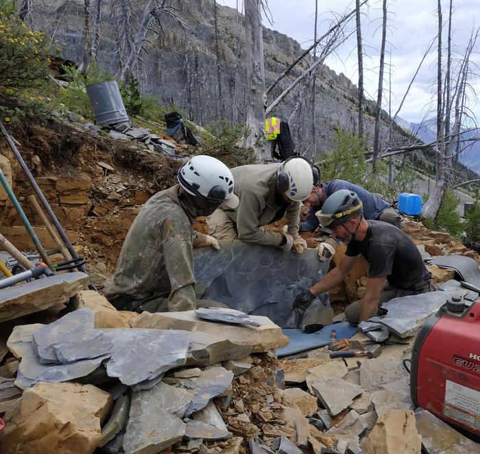 Découverte d'un fossile dans les roches de Burgess Shale, Canada