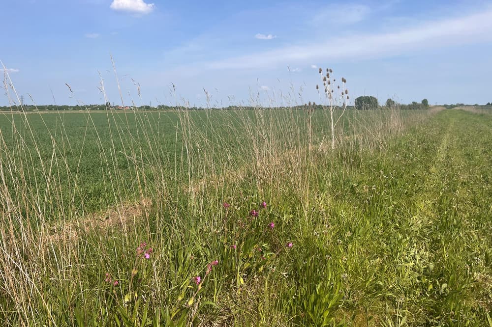Agriculteur en champ pour agriculture durable