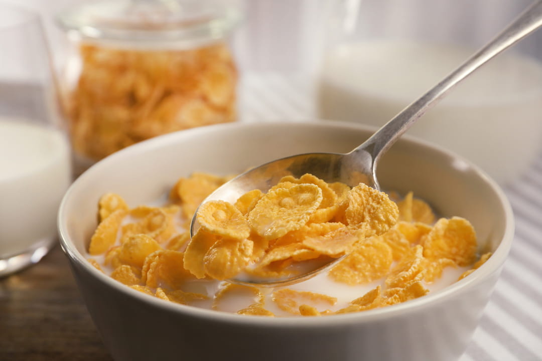 Les frères Kellogg à Battle Creek, Michigan, à l'origine des corn flakes